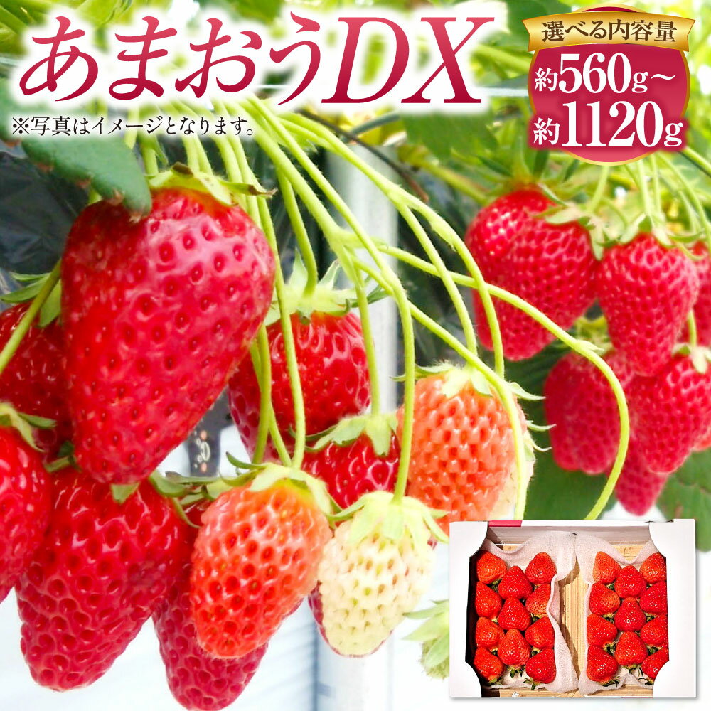 【ふるさと納税】あまおうDX 〈選べる〉 約280g×2～4パック 合計約560g～1120g あまおう いちご イチゴ 苺 ストロベリー ベリー フルーツ 果物 春 旬 九州 国産 福岡県産 送料無料【2026年2月上旬～4月上旬発送予定】