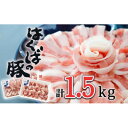 【ふるさと納税】信州はくばの豚 しゃぶしゃぶ・トンカツセット 計1.5kg 冷蔵　SPF豚　長野 　お取り寄せ_ 豚肉 しゃぶしゃぶ とんかつ ロース モモ かた 冷蔵 信州 長野 国産 【配送不可地域：離島・北海道・沖縄県・東北・中国・四国・九州】【1561023】