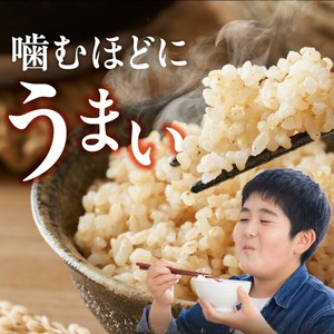 【令和7年産 新米】福岡県産ブランド米元気つくし 玄米 10kg_元気つくし 玄米 内容量 10kg 福岡県産 ブランド米 鮮度抜群 新鮮 福岡生まれ 品種 香り豊か ふっくら 食感 ご飯 おにぎり 