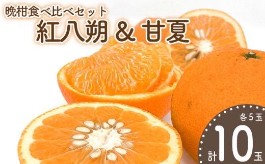 【先行予約】晩柑食べ比べセット～紅八朔&甘夏～(各5玉) | 柑橘 かんきつ 晩柑 紅八朔 甘夏 フルーツ 果物 みかん 期間限定 みかん カンキツ 蜜柑 ミカン mikan 【2026年3月中旬頃から発送予定】愛媛みかん えひめみかん 愛媛ミカン 愛媛県 松山市 ココオ Koko'o