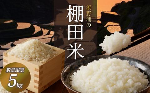 浜野浦の棚田米 5kg ／ 米 お米 精米 白米 新米 ご飯 棚田 産地直送 数量限定 佐賀県 玄海町 常温