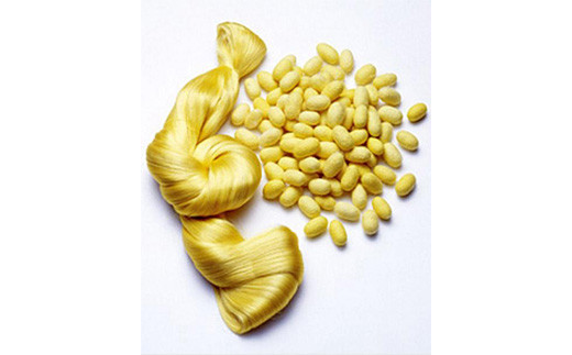 小鼻美人ブラシ（黄金）ウエットタイプ F20E-550