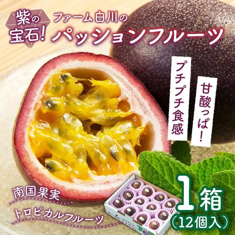 【2027年先行予約】紫の宝石！ファーム白川のパッションフルーツ 12個 C032-004 果物 フルーツ