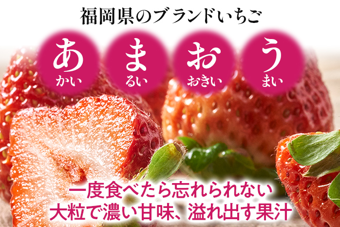 【冬】あまおう 約1000g いちご 苺 フルーツ 九州産 冷蔵 送