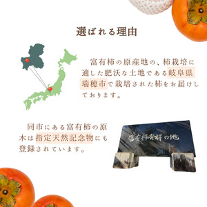 Umai 柿 富有 プレミアム 6玉 2.0kg※2025年11月中旬～12月中旬頃に順次発送予定