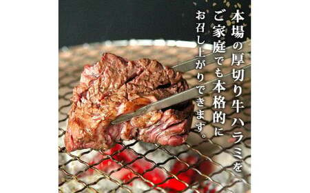 ハラミ　厚切り　味付き　牛ハラミ　500ｇ　冷凍　牛肉　味付　焼肉　バーベキュー　ＢＢＱ　宮城県　東松島