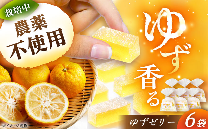 ゆずゼリー 6袋 / ゼリー ゆずゼリー お菓子 柚子 ゆず / 恵那市 / かさぎゆず組合 [AUAW015]