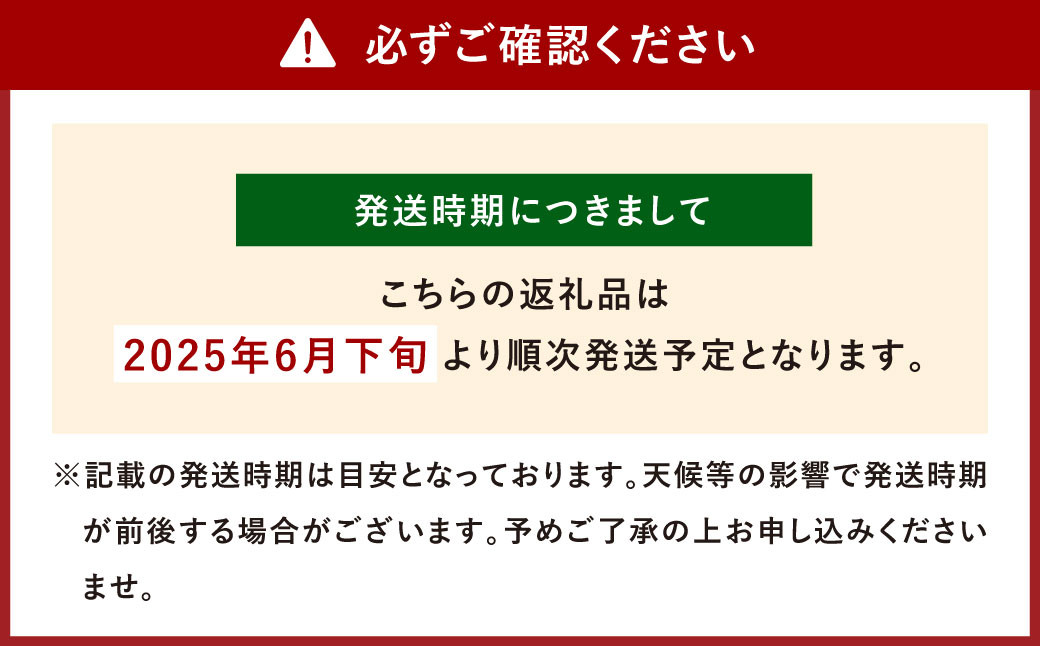 環境マイスターの【ワケあり】アップルマンゴー 1kg