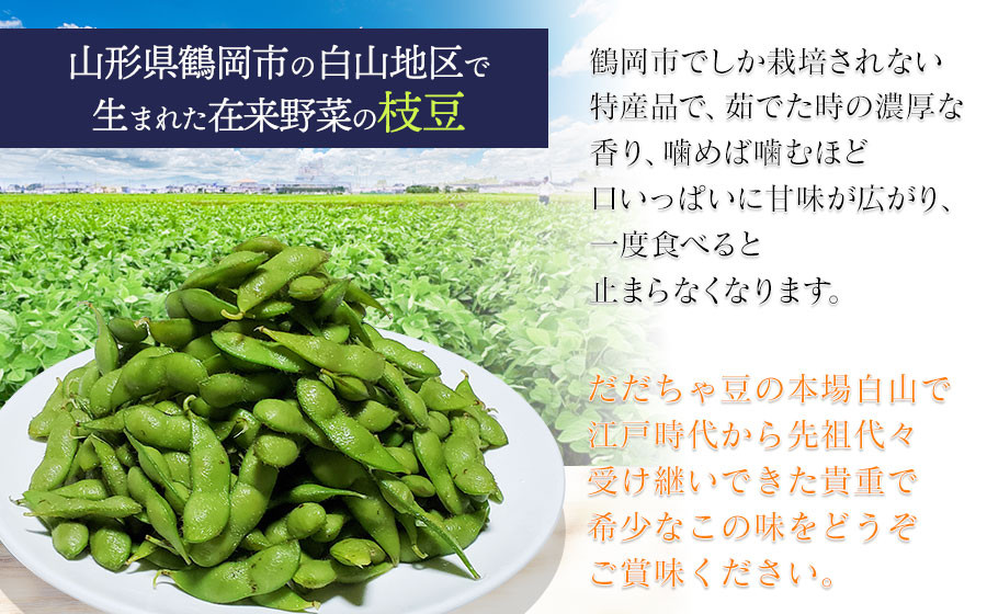 【令和7年産先行予約】本場白山産 濃厚だだちゃ豆【早生(わせ)】 1.5kg（500g×3袋）　農家 長四郎