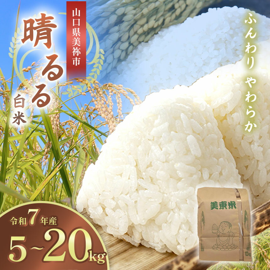 【ふるさと納税】 令和7年度産 新米 晴るる ( 白米 5kg ~ 20kg ) 先行予約 ＜ 2025年9月中旬より順次発送予定 ＞ ｜ 米 精米 新米 白米 米 雑穀 お米 コメ 単一米 晴るる はるる 山口 美祢 秋吉台 5kg 10kg 15kg 20kg