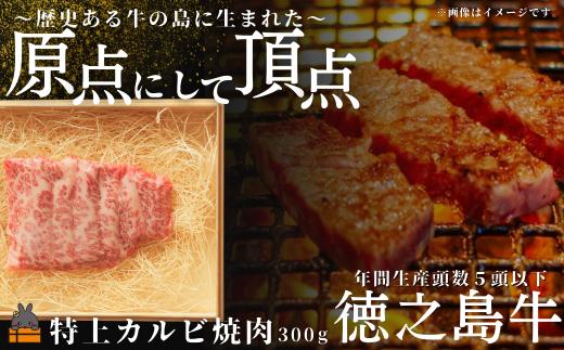 2531 南原（はいばる）牧場 幻の徳之島牛 特上カルビ焼肉 300g  ( 厳選 焼肉 プレミアム 高品質 鹿児島黒毛和牛 黒毛和牛 牛肉 万能 料理 徳之島 奄美 鹿児島 和牛ギャング )