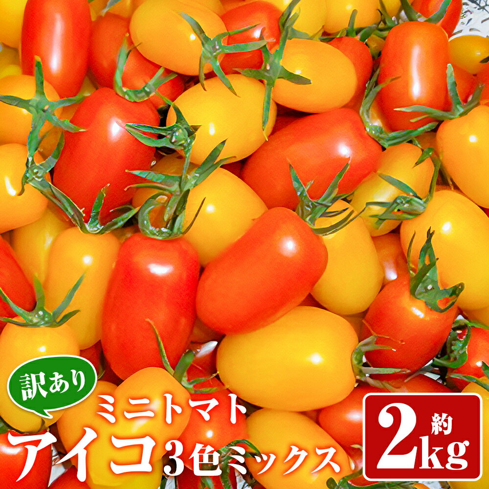 【ふるさと納税】訳あり ミニトマト アイコ 3色ミックス 約2kg 野菜 トマト ご家庭用 二戸市産 岩手県産 冷蔵 送料無料 【2025年7月中旬～8月下旬に順次発送予定】