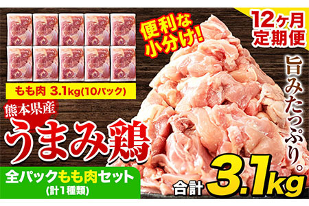 鶏肉 12か月定期便 もも 3.1kg 鶏肉