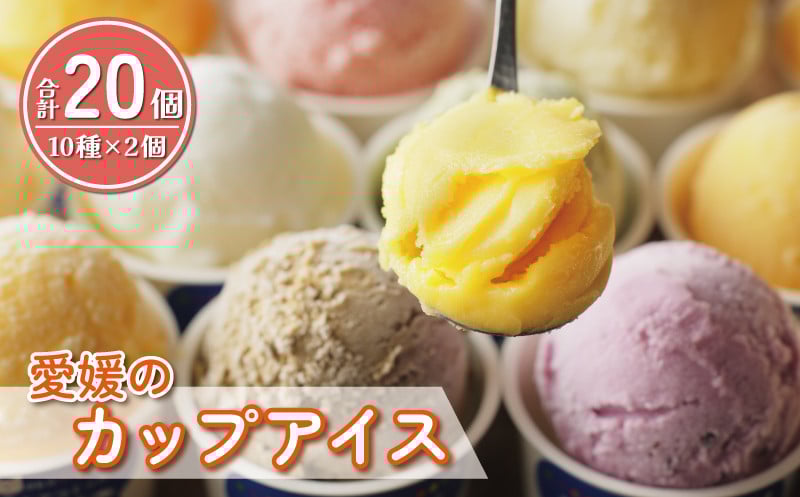 
                  愛媛 の カップ アイス 20個 （ 10種 × 2個 ） 食べ比べ セット 温州 みかん 不知火 ポンカン はるか 美生柑 河内晩柑 紅まどんな 牛乳 いちじく 苺 紅茶 レモン キウイ いちご 久万茶 ブルーベリー 無花果 ぽんかん 愛南ゴールド あいなん ゴールド ジェラート じぇらーと シャーベット アイスクリーム デザート スイーツ 特産品 ギフト 人気 限定 愛南町 愛媛県 【アイス】
                