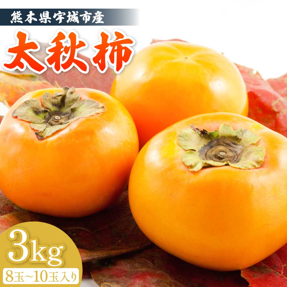 【ふるさと納税】太秋柿 約3kg ※8玉〜10玉入り ※箱、風袋込の重量 柿 かき たいしゅうがき 大秋柿 冷蔵 熊本県産 国産 送料無料 フレッシュダイレクト 【2026年10月中旬〜11月中旬頃発送予定】