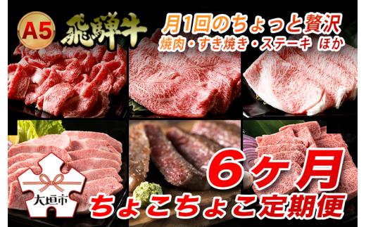 
A5飛騨牛　定期便　6カ月ちょこちょこお届け（焼肉・すき焼き・ステーキ）☆
