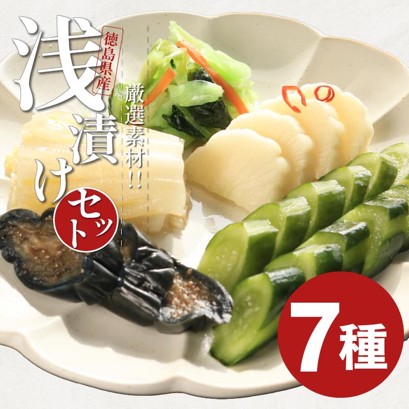 【ふるさと納税】 浅漬け 7種 さっぱり 白菜うまみ漬 ゆず白菜 野沢菜ミックス 浅漬大根 浅漬なす 胡瓜食べごろサイズ 野沢菜わさび風味 国産野菜 ヘルシー 食物繊維たっぷり 低カロリー 健康食品 ご飯 お供 おつまみ 人気 季節 野菜 簡単 漬け物 お手軽 徳島県 吉野川市
