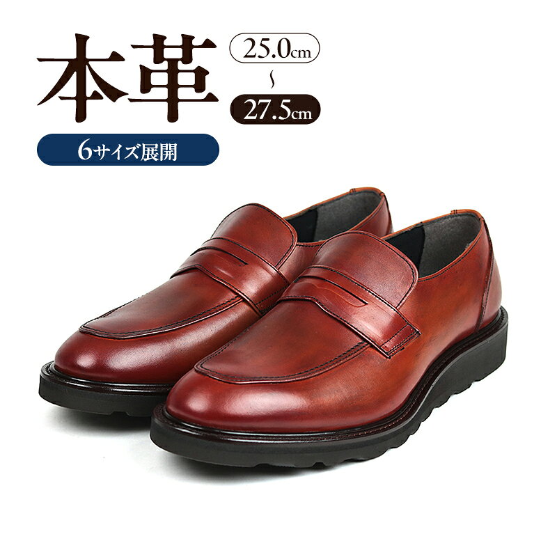 【ふるさと納税】0288 カジュアルシューズ ローファー 3Eウィズ　BROWN（ブラウン）　メンズ ファッション 靴 シューズ 本革　25.0cm〜27.5cm