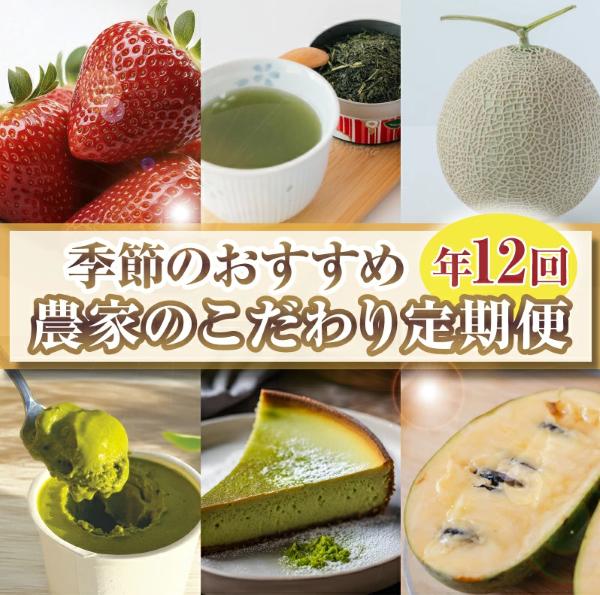 【定期便12回 】 フルーツ バラエティ セット 定期便 いちご メロン お茶 国産 イチゴ 果物 苺