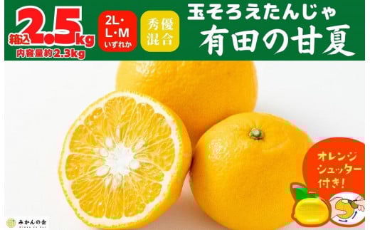 
                  甘夏 玉ぞろい 箱込 2.5kg ( 内容量約 2.3kg ) 秀品 優品 混合 2L  L M サイズのいずれか 和歌山県 産地直送 ［皮むき器付き］ ［みかんの会］
                