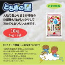 【ふるさと納税】栃木県鹿沼市産 とちぎの星 無洗米 10kg（5kg×2袋） 令和5年産 水稲うるち精米 単一原料米 お米 特A 大粒　 米 お米 大粒 甘さ 　お届け：2024年10月上旬～2025年7月下旬