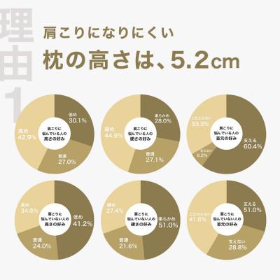 ふるさと納税 我孫子市 肩こりに悩む人向け枕 THE PILLOW Preset 02 Katakori |  | 01