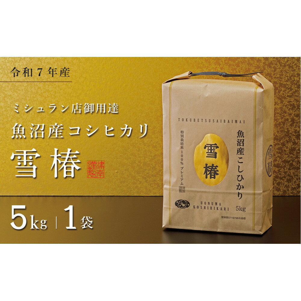 【ふるさと納税】【令和7年産】魚沼産コシヒカリ 雪椿 5kg (5kg×1袋) 特別栽培米
