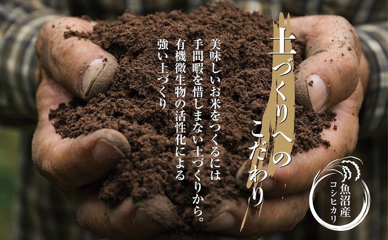 【無地熨斗】｜無洗米｜ 魚沼産 コシヒカリ 5kg ×6袋 計30kg お米 こしひかり 新潟 （お米の美味しい炊き方ガイド付き） 精米 ご飯 ブランド米 銘柄米