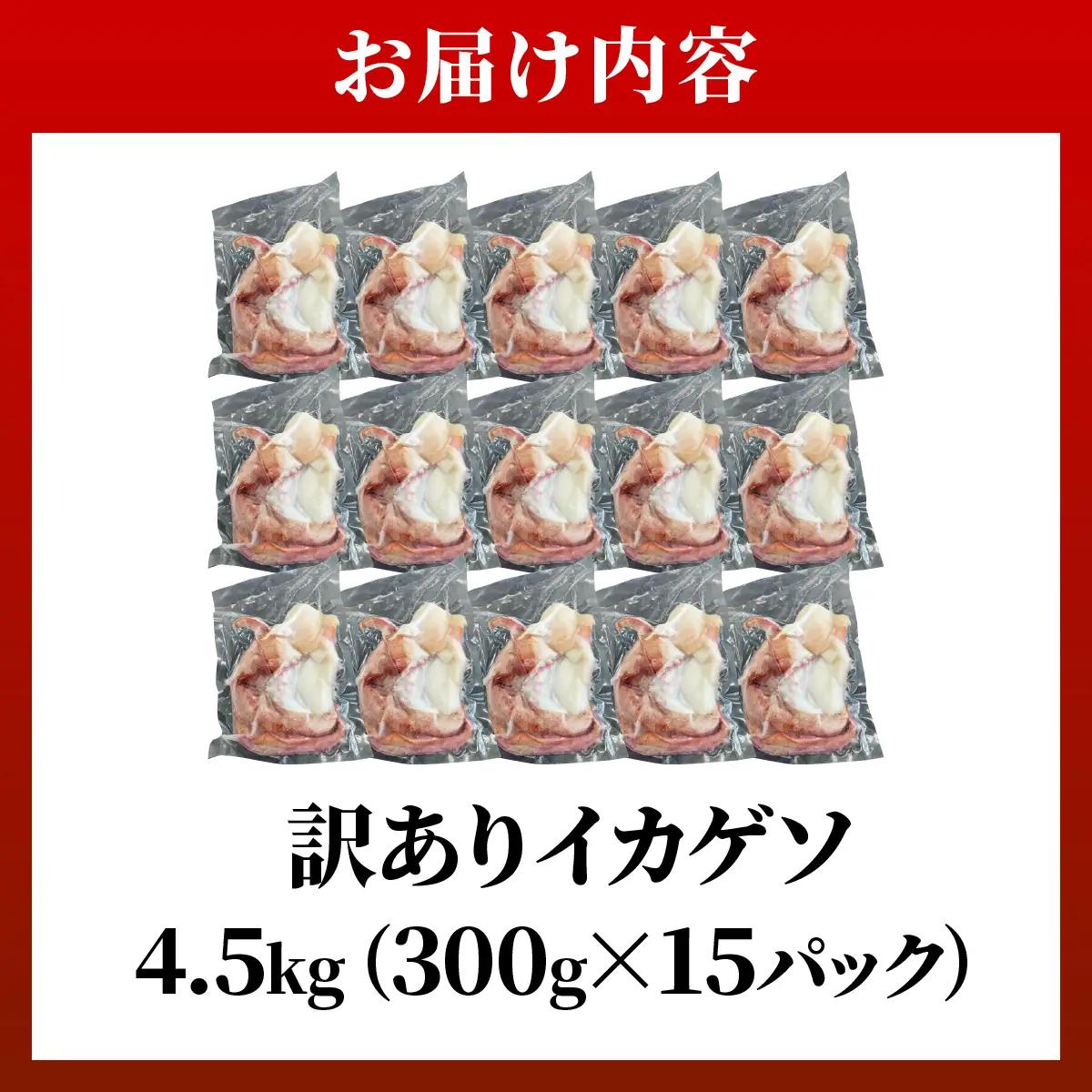 セーイカ げそ 300g×15パック 加熱用 石垣島産 ＜訳あり＞ 