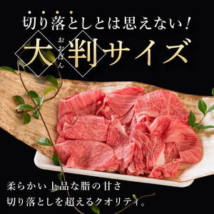 常陸牛 霜降り 肩ロース 切り落とし 200g 牛 牛肉 すきやき すき焼き 小分け しゃぶしゃぶ 牛丼 冷凍保存 生産者直送【肉のイイジマ】（DU-175）