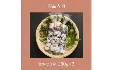 【先行予約】牡蠣 宮城県産 ぷりぷり 生牡蠣 むき身 750g 生食用 カキ 冷蔵 生カキ 小分け