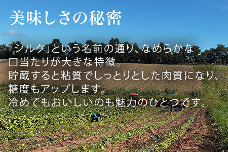 さつまいも シルクスイート 4kg サツマイモ 黒木農場