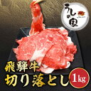 【ふるさと納税】うしの家の飛騨牛切り落とし　1kg(250g×4パック)　【配送不可地域：離島】【1418727】