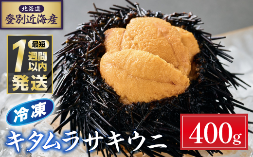 登別近海産冷凍キタムラサキウニ（パック詰）400g