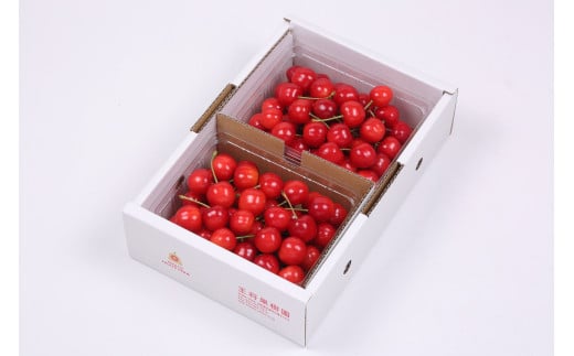 08-03-027　農家のオススメ旬のさくらんぼ1kg
