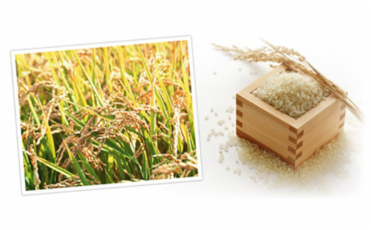 【ご注文後精米】「寿五位（すっごい）高岡牛」Bセット（