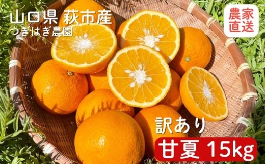 甘夏 15kgと『つぎはぎ農園日記』セット