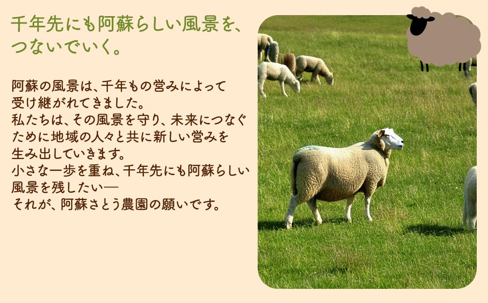 【選べる内容量】【国産】ジンギスカン 600g 阿蘇さとう農園 阿蘇地域で生産した貴重な国産羊肉！ 冷凍 小分け 熊本特産 晩白柚風味 簡単調理 焼くだけ 本格 貴重 熊本グルメ ご当地グルメ 特製漬