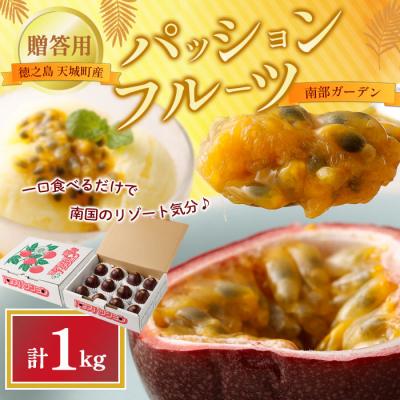 ふるさと納税 天城町 【2026年発送】先行受付 徳之島 天城町 南部ガーデン パッションフルーツ 贈答用 1kg