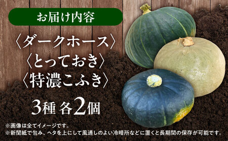 【先行予約】北海道 かぼちゃ ダークホース・とっておき・特濃こふき 3種類×2個 【9月中旬以降発送】足寄町/足寄アグリバイオ株式会社[BEAC013]