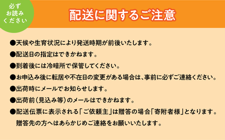 ＜2026年発送先行予約＞頬張る幸福感　～ 緑の宝石・シャインマスカット ～　3.0㎏以上 4～6房 ALPCV009