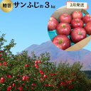 【ふるさと納税】りんご 【 2月発送 】 贈答規格 サンふじ 約 3kg 【 弘前市産 青森りんご 】　果物類・林檎・りんご・リンゴ・サンふじ　お届け：2025年2月1日～2025年2月28日