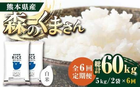 【全6回定期便】  森のくまさん 白米 10kg(5kg×2袋)【有限会社  農産ベストパートナー】お米 コメ 熊本 特A 精米 ごはん 特産品 定期便  お米定期 お米定期便 [ZBP056]