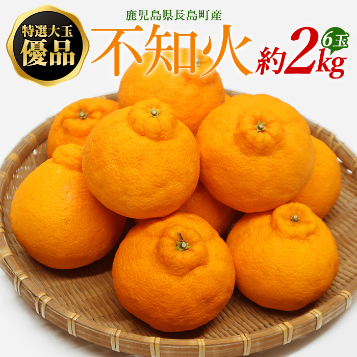 特選大玉 優品不知火６玉入り約２kg【山上農園】_yamagami-772