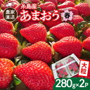 【ふるさと納税】【先行予約】(農家直送！) 糸島産 春 あまおう 280g × 2パック (DXまたはGサイズ) 【2025年2月上旬より順次発送】糸島市 / 後藤農園 [AML004] いちご イチゴ 苺 9000円 9千円 ギフト