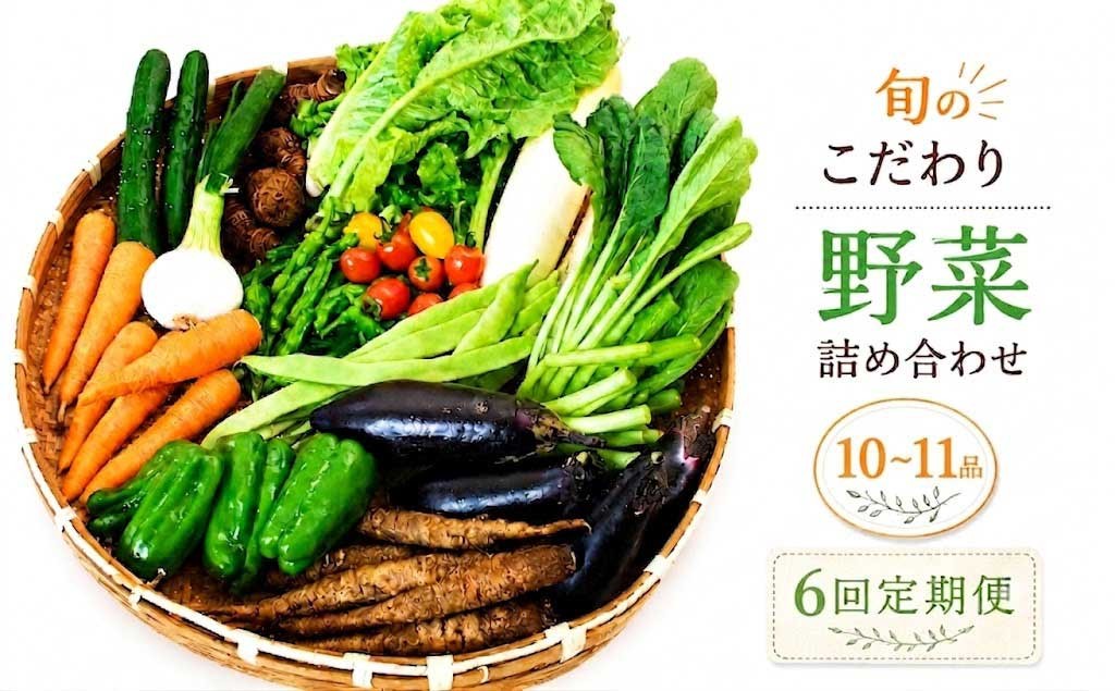 
                  【先行予約】 【6回定期便】 朝採れ新鮮！ 野菜セット(10～11品) | 野菜セット 新鮮 野菜 人気 季節の野菜 おすすめ キャベツ きゅうり 里芋 大根 トマト セット 詰め合わせ 森尾商店 高知県 南国市
                