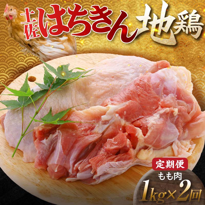 【ふるさと納税】【定期便】土佐はちきん地鶏 もも肉 1kg×2ヵ月連続 地鶏 モモ肉 鶏肉 とり肉 とりにく 肉 定期 高知県 大川村 F6R-004