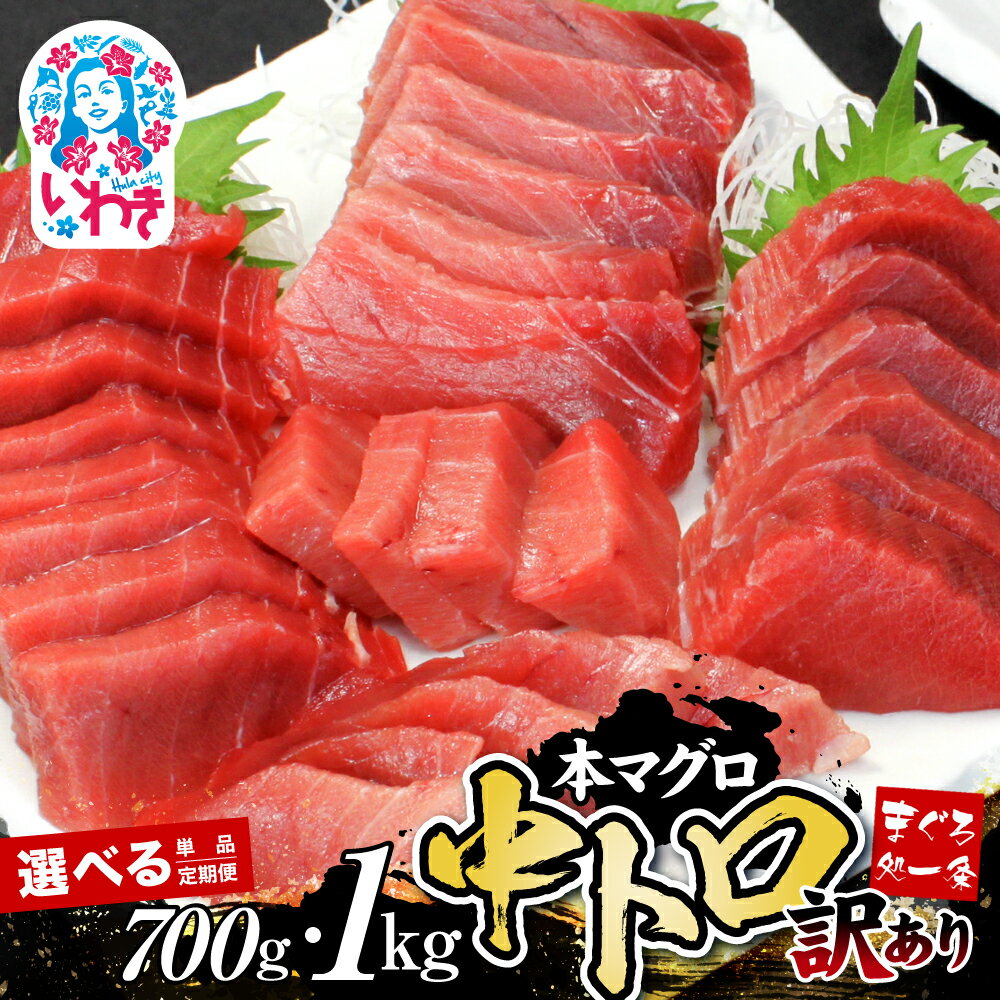 【ふるさと納税】訳あり 本マグロ 中トロ 700g 〜 1kg 大容量 選べる 定期便 マグロ 中とろ 不揃い 刺身 海鮮丼 寿司 父の日 家庭用 ご自宅用 人気 冷凍 鮪 不定型 柵 本鮪 漬け丼 海鮮 魚 鮮魚 食品 まぐろ 魚介類 ネギトロ ふるさと納税魚介 まぐろ処一条