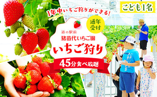 
            ＼レビュー投稿でお米プレゼント／いちご狩り 1年中 「道の駅前 猪苗代 いちご園」 こども1名チケット（4歳〜小学生） ｜ 苺 通年 猪苗代・会津地域
          