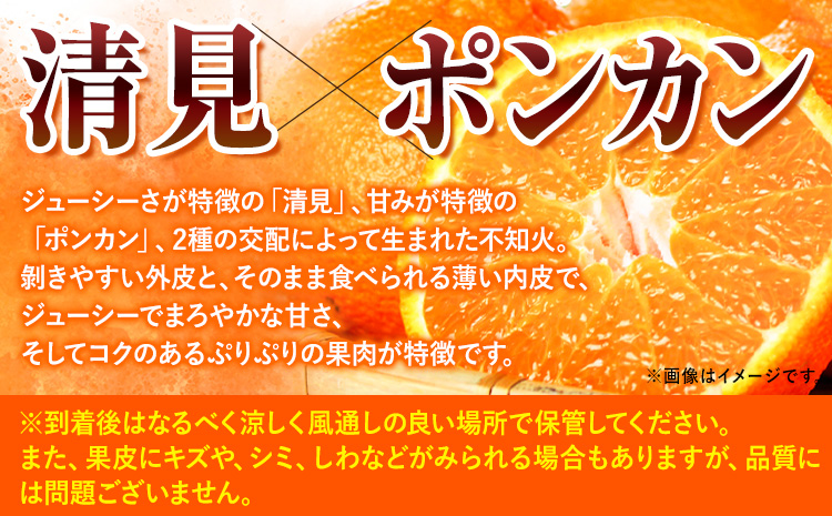 【先行予約】紀州有田産不知火(しらぬひ) 約5kg  株式会社魚鶴《2026年2月上旬-3月中旬頃出荷》 和歌山県 日高町 不知火 しらぬい 柑橘 ご家庭用